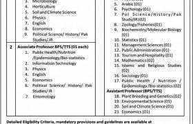 University of Haripur Jobs 2021