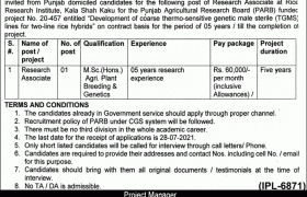 Rice Research Institute Kala Shah Kaku Jobs 2021