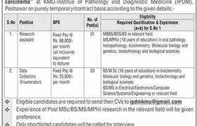 Khyber Medical University Peshawar Jobs 2021