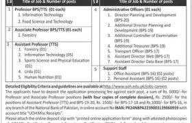 The University of Haripur Jobs 2021