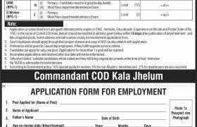 Central Ordnance Depot Kala Jehlum Jobs 2021
