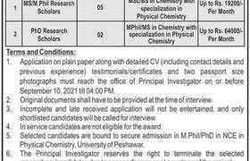 Jobs in University of Peshawar 2021