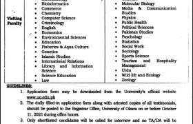 Jobs in University of Okara 2021