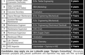 Jobs in SYNGRO Lahore 2021