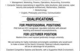 Jobs in Qarshi University Lahore 2021
