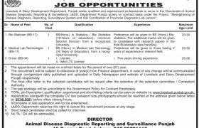 L&DD Department Punjab Jobs 2021