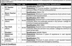 Army Public School Defence Complex Jobs 2021