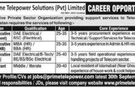 Jobs in Prime Telepower Solutions Pvt Ltd 2021