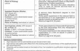 Jobs in Overseas Pakistanis Foundation 2021