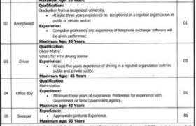 Punjab Reform Management Program Jobs 2021
