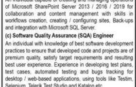 Jobs for IT Professionals Islamabad 2021