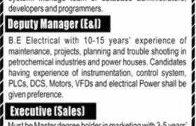 Jobs in Rupali Group 2021
