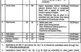 Jobs in Energy Department Punjab 2021