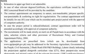 Jobs in Agriculture Department Punjab 2021