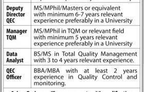 Jobs in The University of Faisalabad 2021