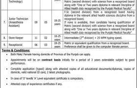 Jobs in Services Hospital Lahore 2021
