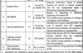 Jobs in PMAS-Arid University Rawalpindi 2021