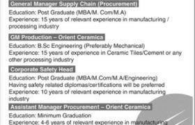 Jobs in Orient Group of Companies 2021