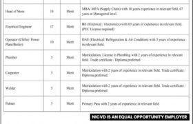 Jobs in NICVD Sindh 2021