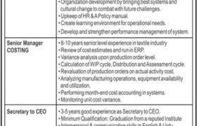Jobs in Chenab Limited Faisalabad 2021