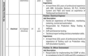 Jobs in Patrind Hydropower Plant Muzaffarabad 2021