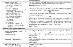 Jobs in University of Poonch Rawalakot 2021
