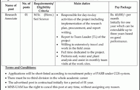 Jobs in MNS University of Agriculture Multan 2021
