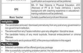 Jobs in Fazaia Inter College Islamabad 2021