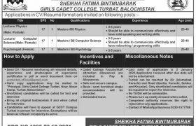 Jobs in Girls Cadet College Turbat 2021