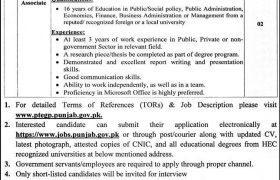 Planning & Development Board Punjab Jobs 2021