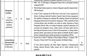 Jobs in Ministry of Industries & Production 2021