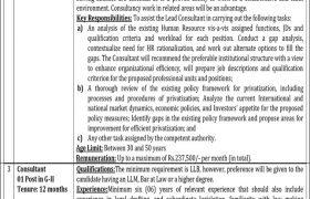 Jobs in Ministry of Privatization 2021