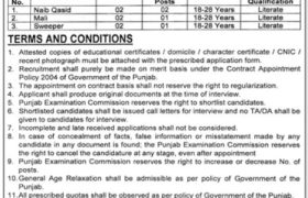 Punjab Examination Commission Jobs 2022