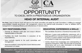 Jobs in ICAP Islamabad 2022