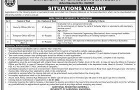 Jobs in University of Sargodha 2022