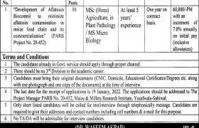 Maize & Millet Research Institute Jobs 2022
