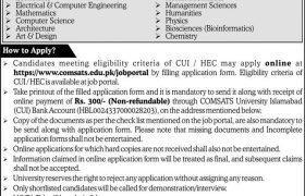Jobs in Comsats University Islamabad 2022