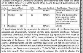 Jobs in NCEPC University of Peshawar 2022
