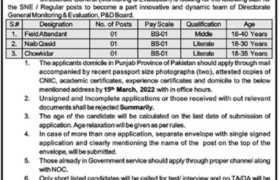 Planning & Development Board Punjab Jobs 2022