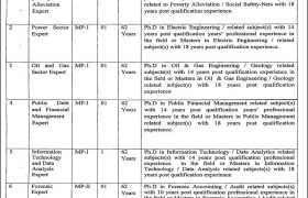 Auditor General Pakistan Office Jobs 2022