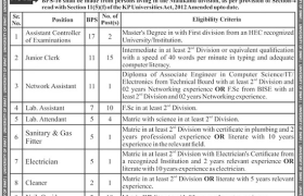 Jobs in University of Swat 2022