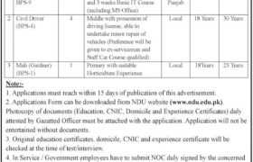 Jobs in National Defence University Islamabad 2022