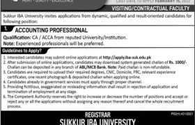Jobs in Sukkur IBA University 2022