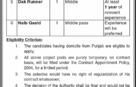 Jobs in Board of Revenue Punjab 2022