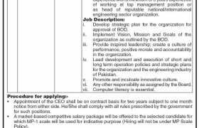 Jobs in Ministry of Industries & Production 2022