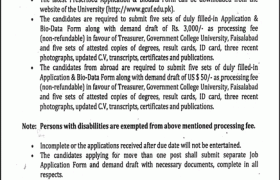 Jobs in GC University Faisalabad 2022