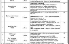 Jobs in Project Management Unit Lahore 2022