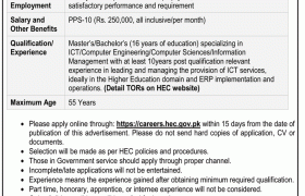 Jobs in HEC Pakistan 2022