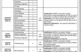 Jobs in PUMHS Sindh 2022
