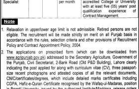 Jobs in Agriculture Department Punjab 2022